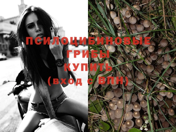 марки lsd Балахна