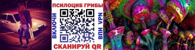 Галлюциногенные грибы Psilocybine cubensis  Гаврилов-Ям 